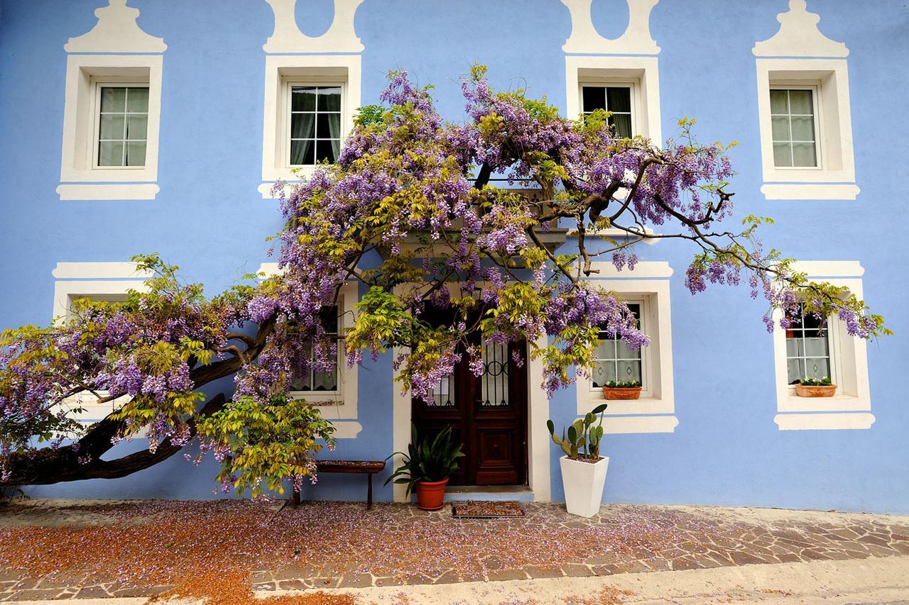 The Blue House Hotel Tolmin Exterior photo